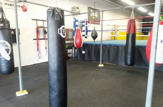 MMA punching bags